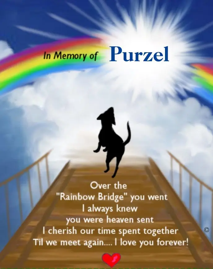 Andachtsbild von Für Purzel zum 9. Sternchengeburtstag