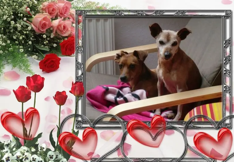 Andachtsbild von Unbekannt