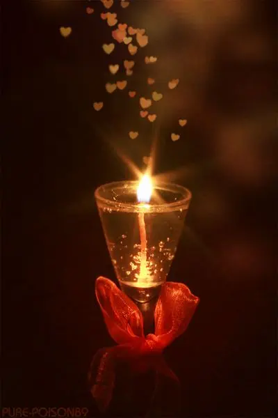 Condolence image of Ilse mit ihren Sternlein für Purzel zum 10. Jahresgedenken