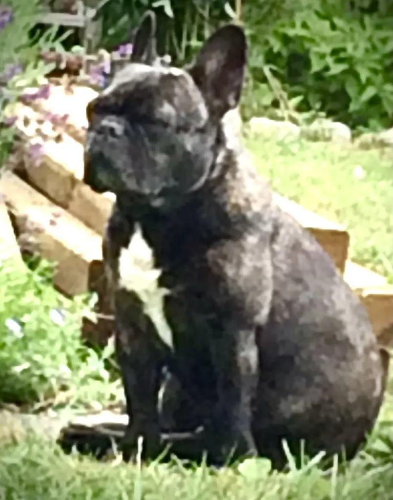 Condolence image of Tanja