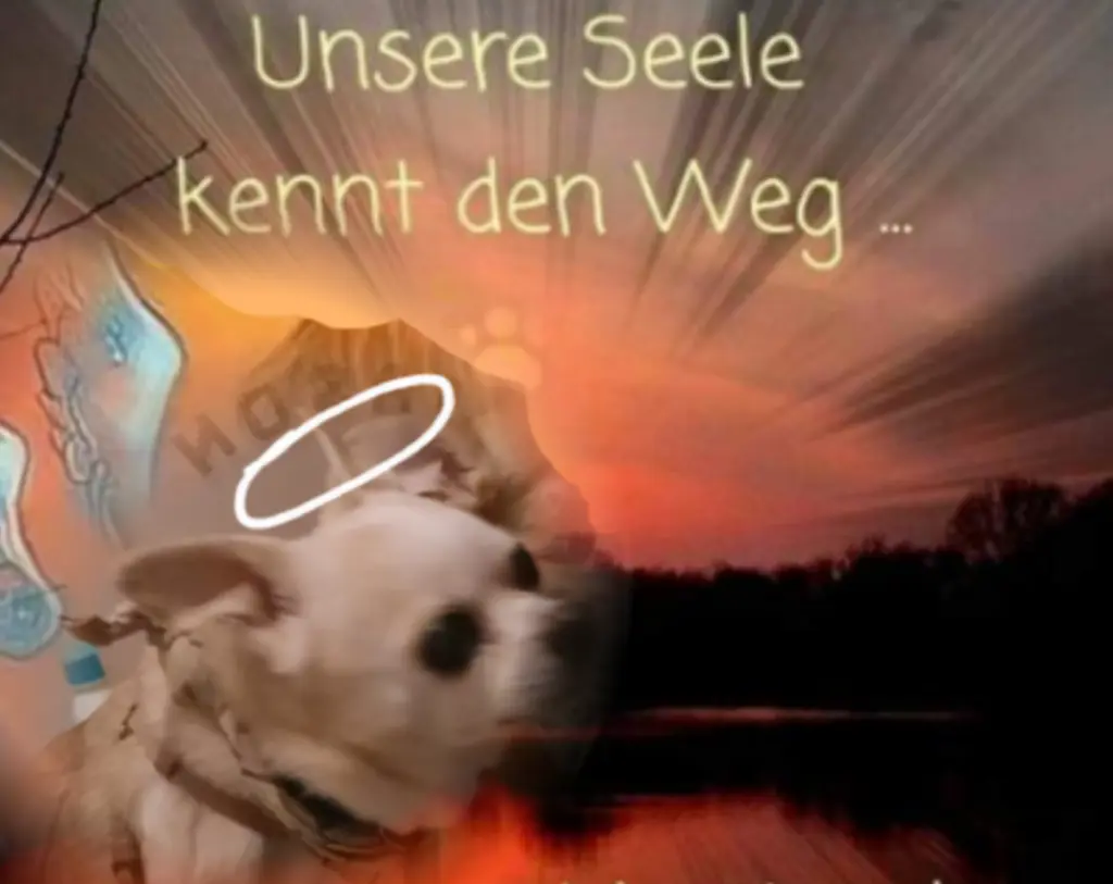 Andachtsbild von Elke