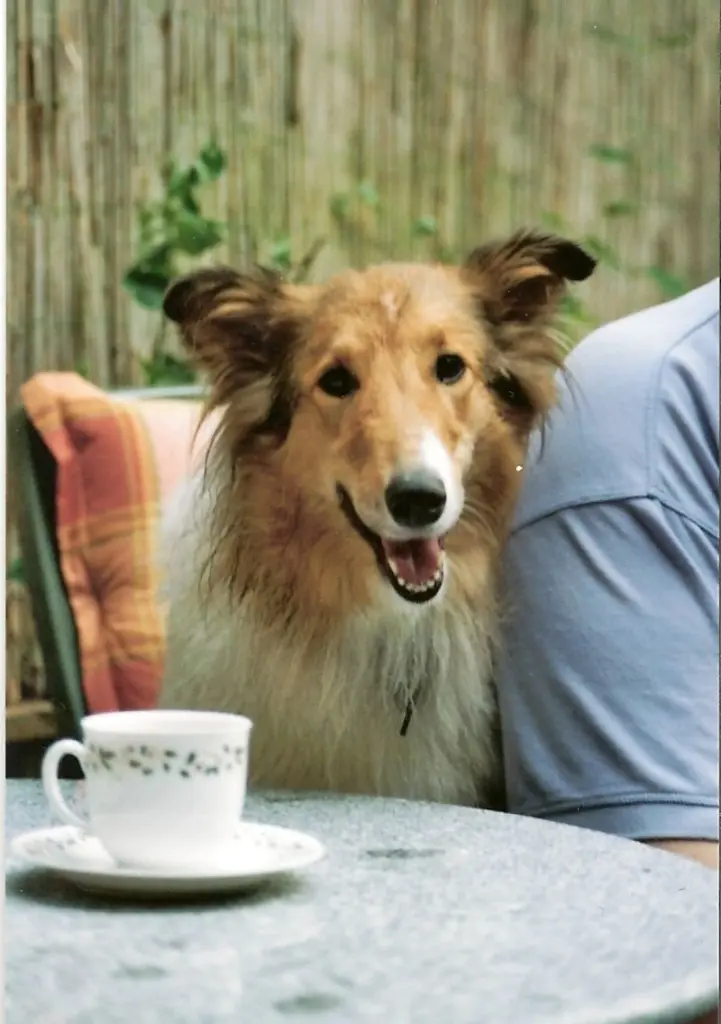 Andachtsbild von Irm