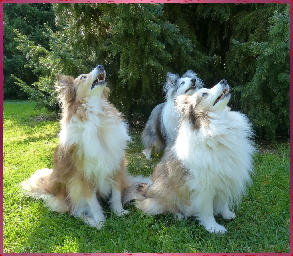 Bild von Luzie