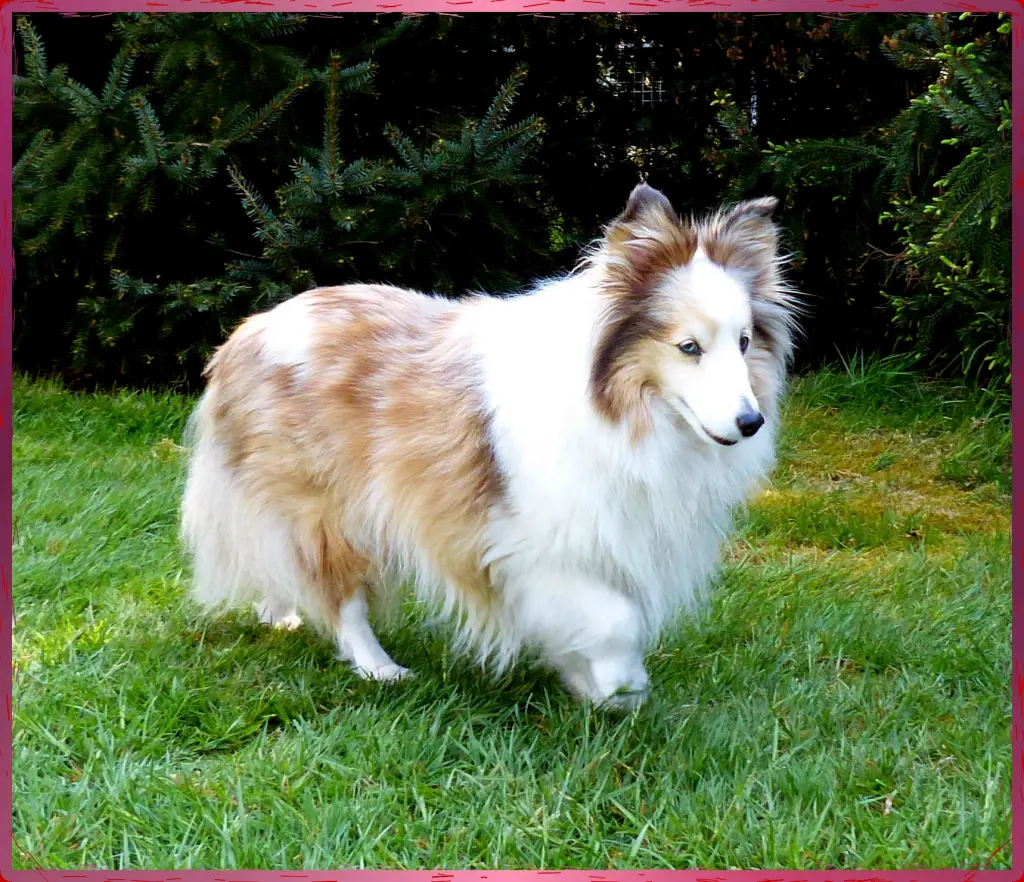 Bild von Luzie