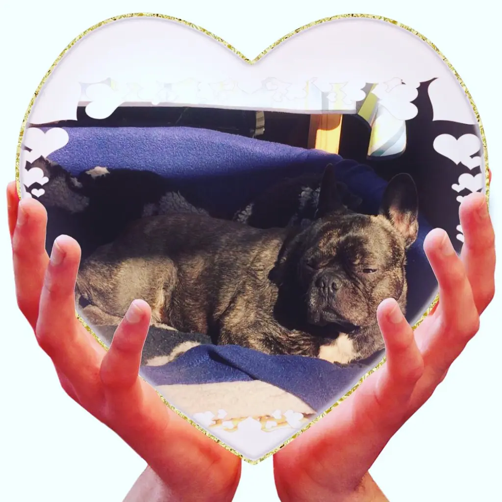 Condolence image of Tanja und MonaLi