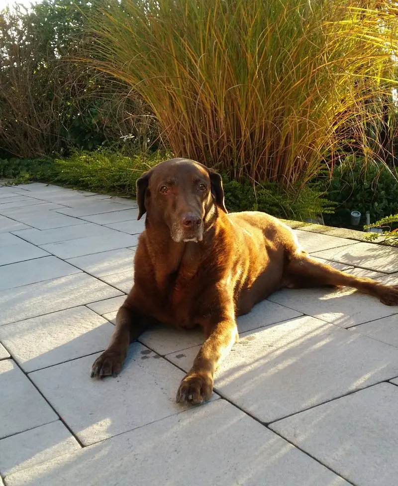 Condolence image of Margit