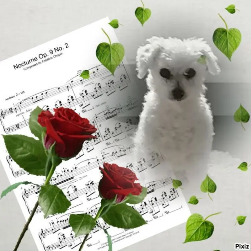 Andachtsbild von Gaby mit Snowy im Herzen 