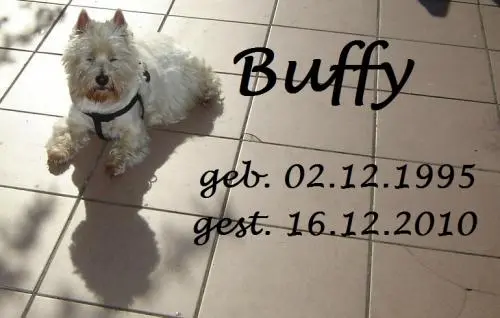 Image from Buffy