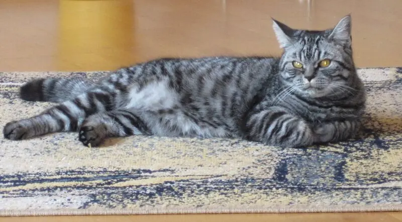 Andachtsbild von Martina