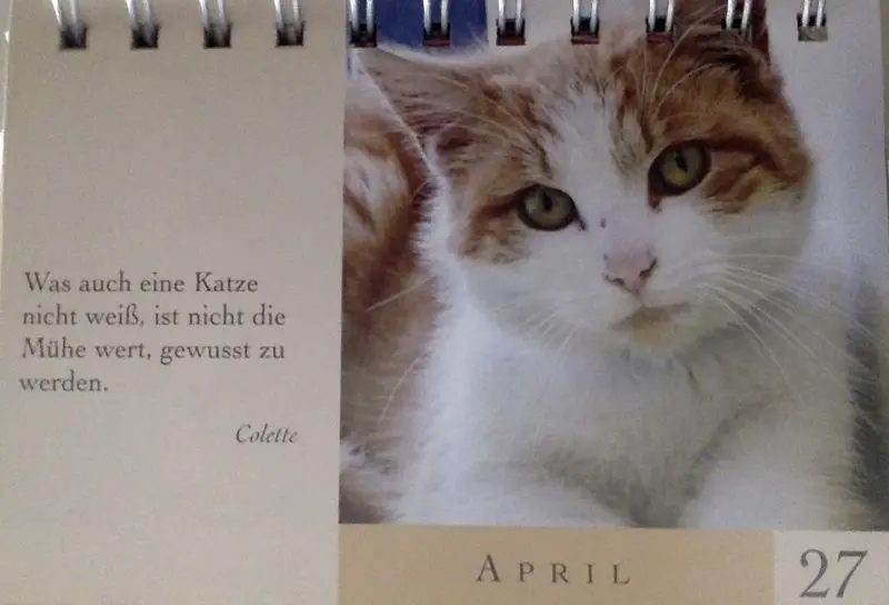 Condolence image of Katrin mit Oskar im Herzen