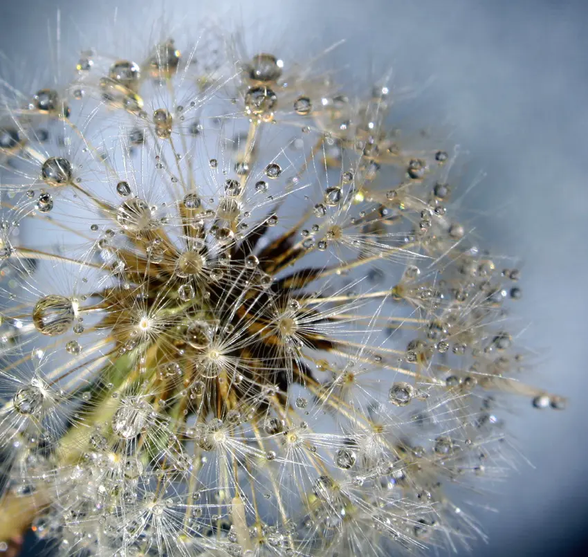 Andachtsbild von Unbekannt