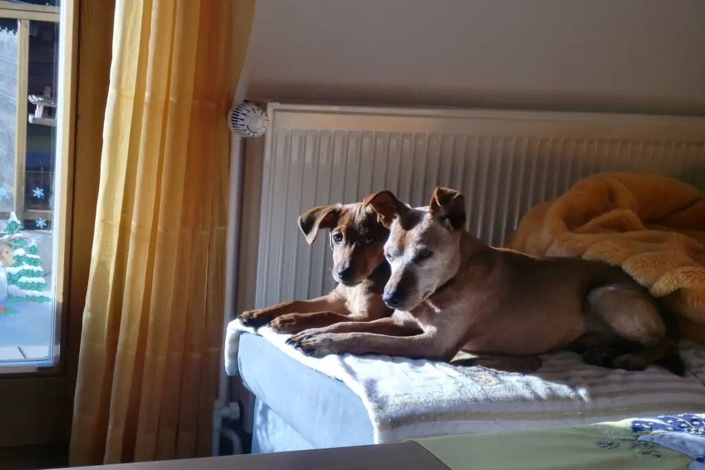 Condolence image of Jutta