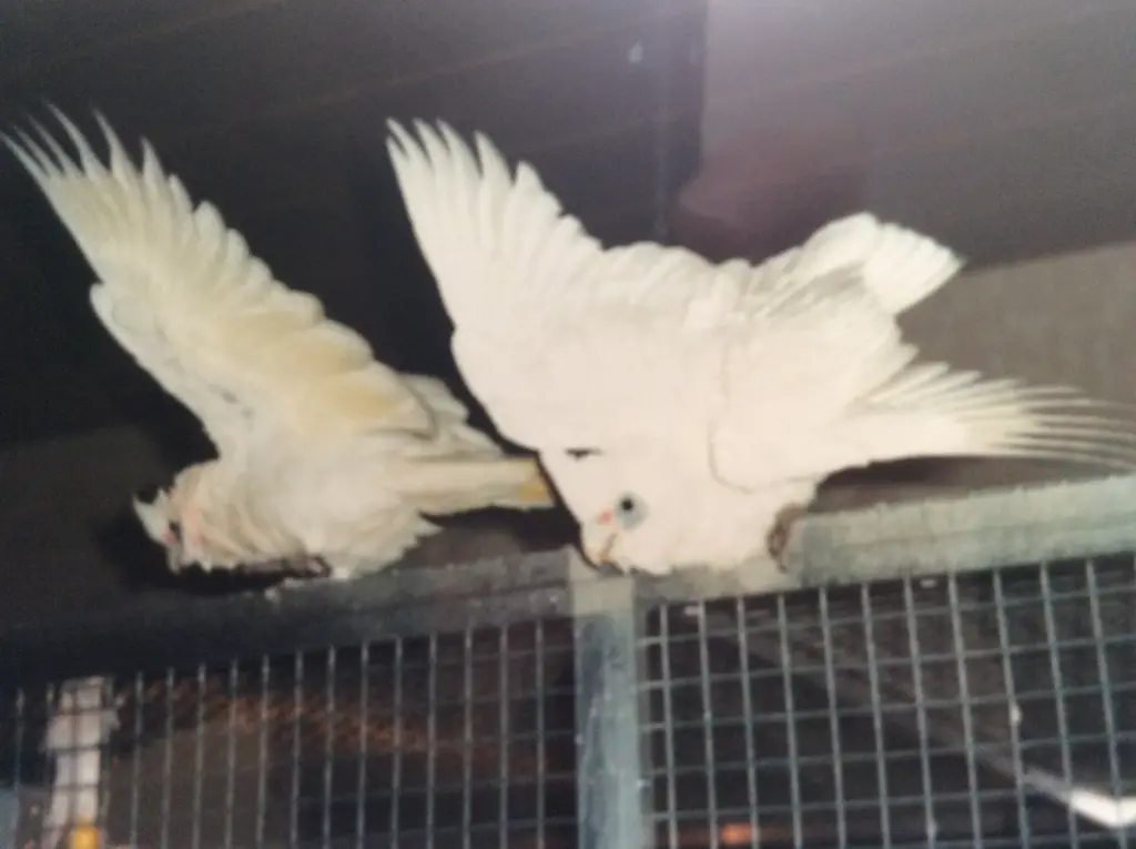 Condolence image of Andrea