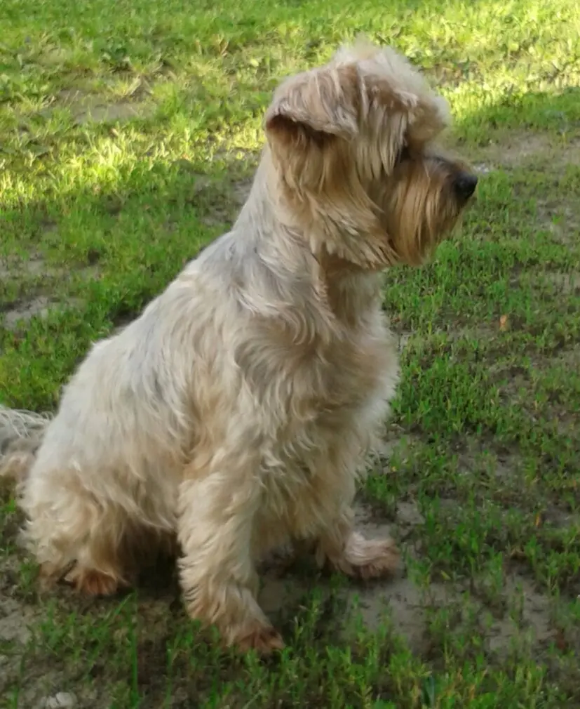 Andachtsbild von Ewa & Krzysztof mit Jacki tief im Herzen ❤