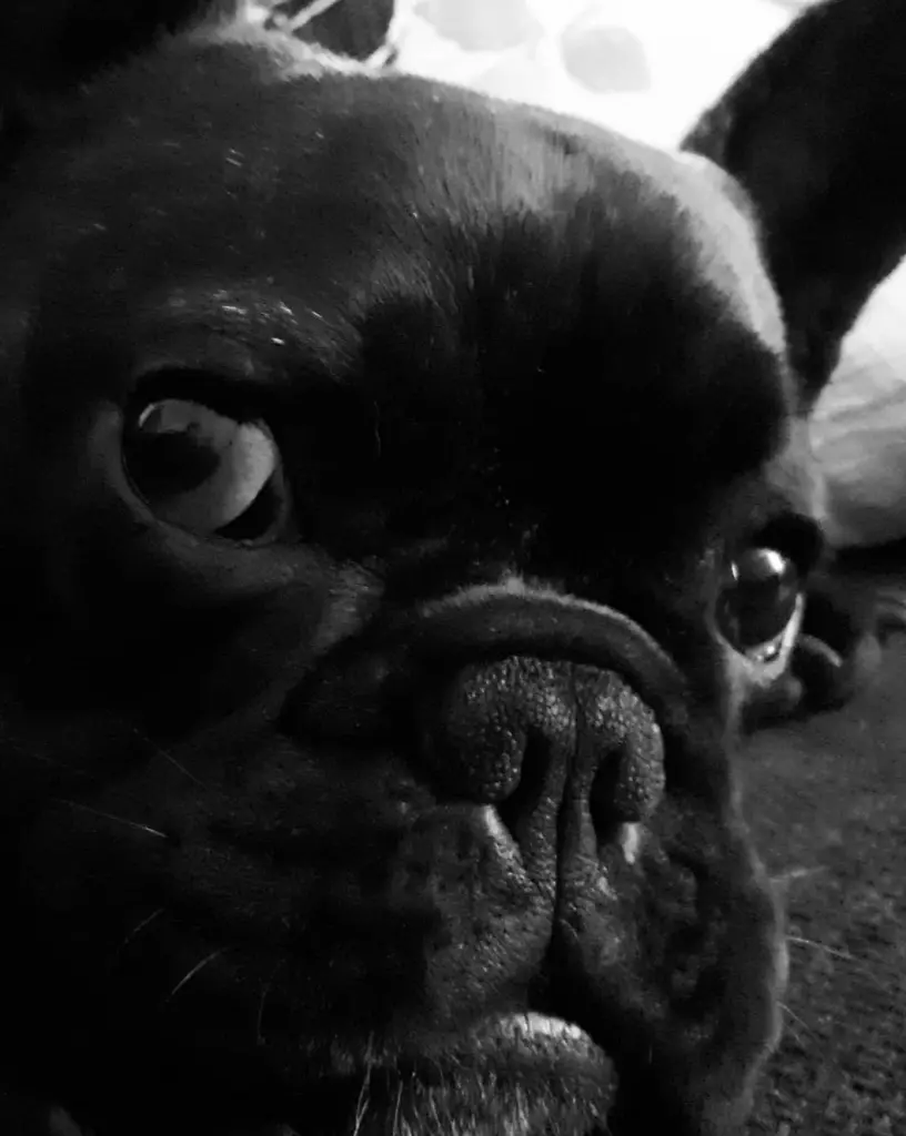 Andachtsbild von Ursula