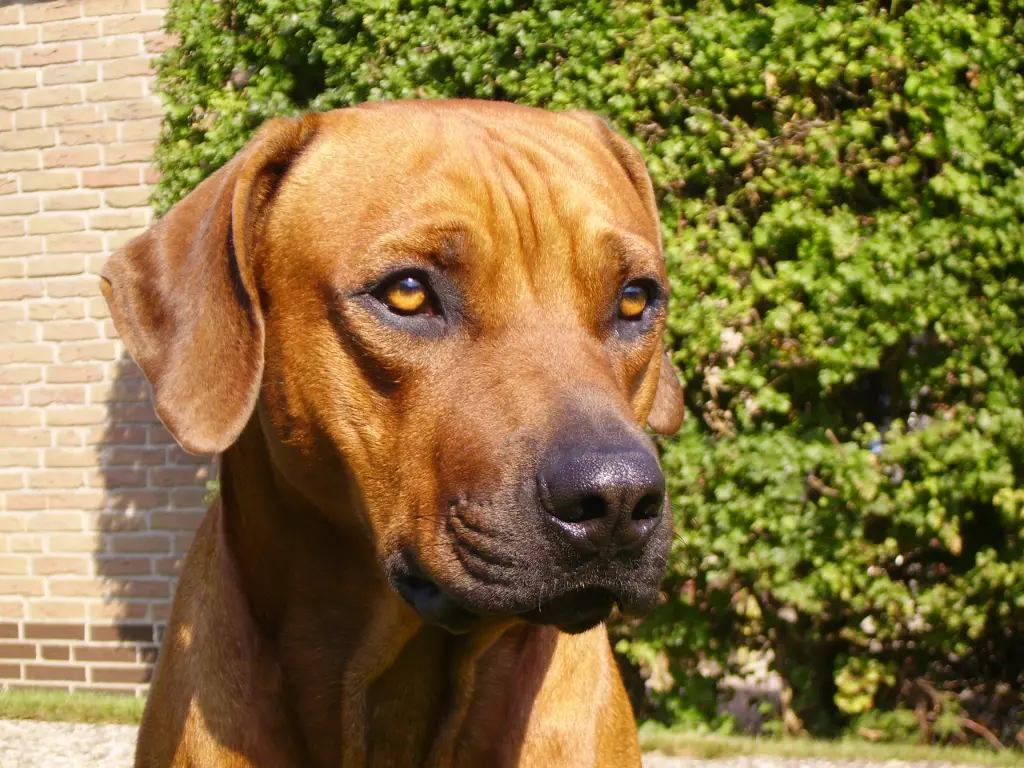 Condolence image of Britta
