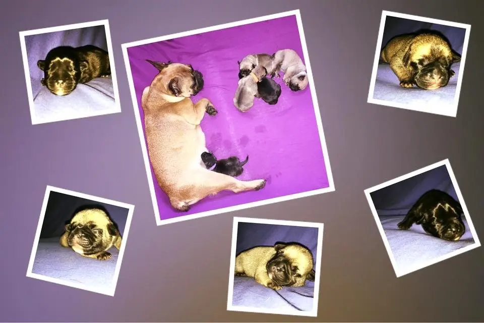 Andachtsbild von Unbekannt