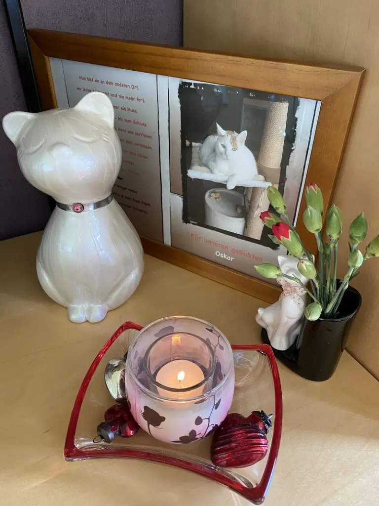 Condolence image of Katrin & Frank & Schnorry