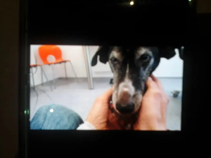 Image from Maksi