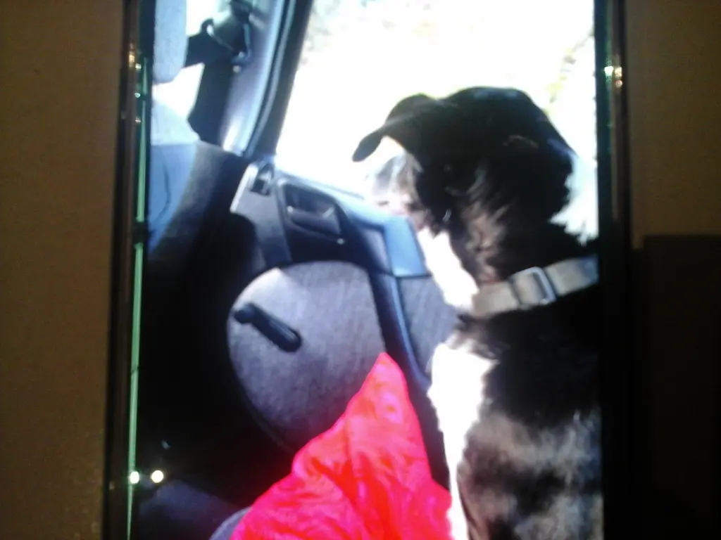 Image from Maksi