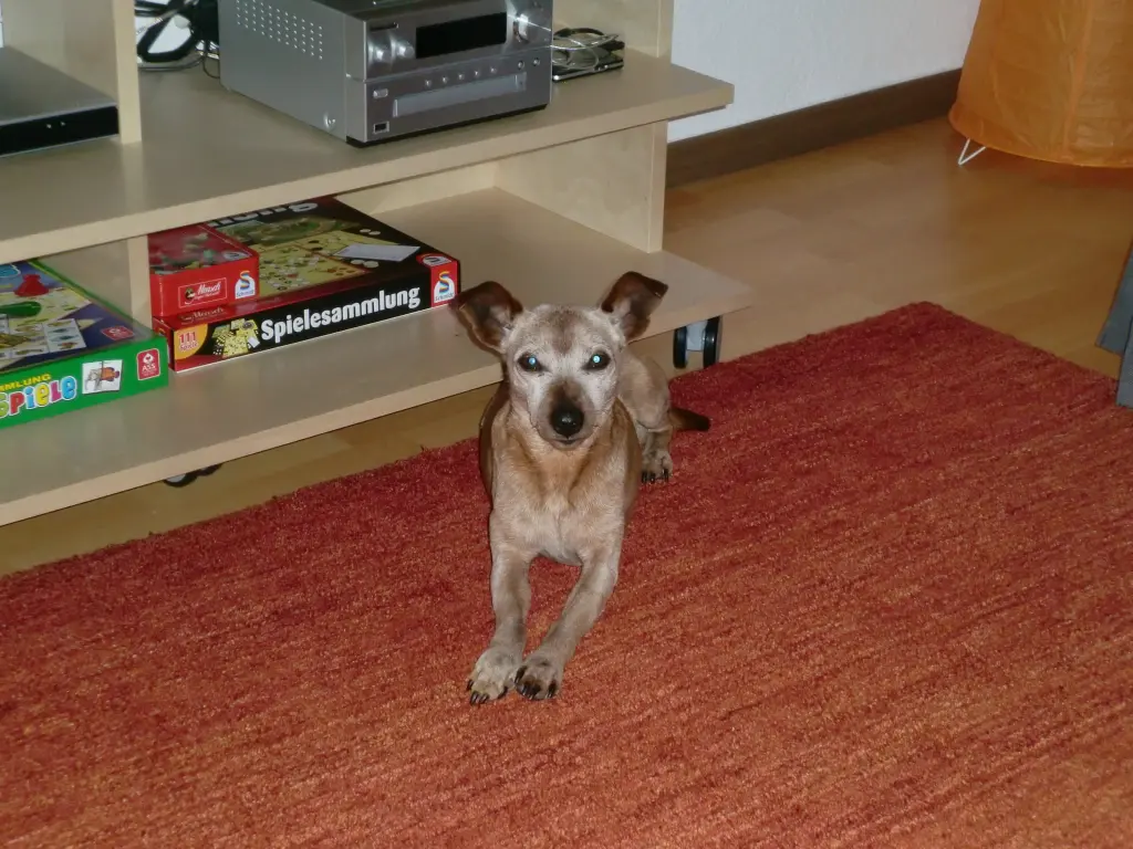 Condolence image of Jutta