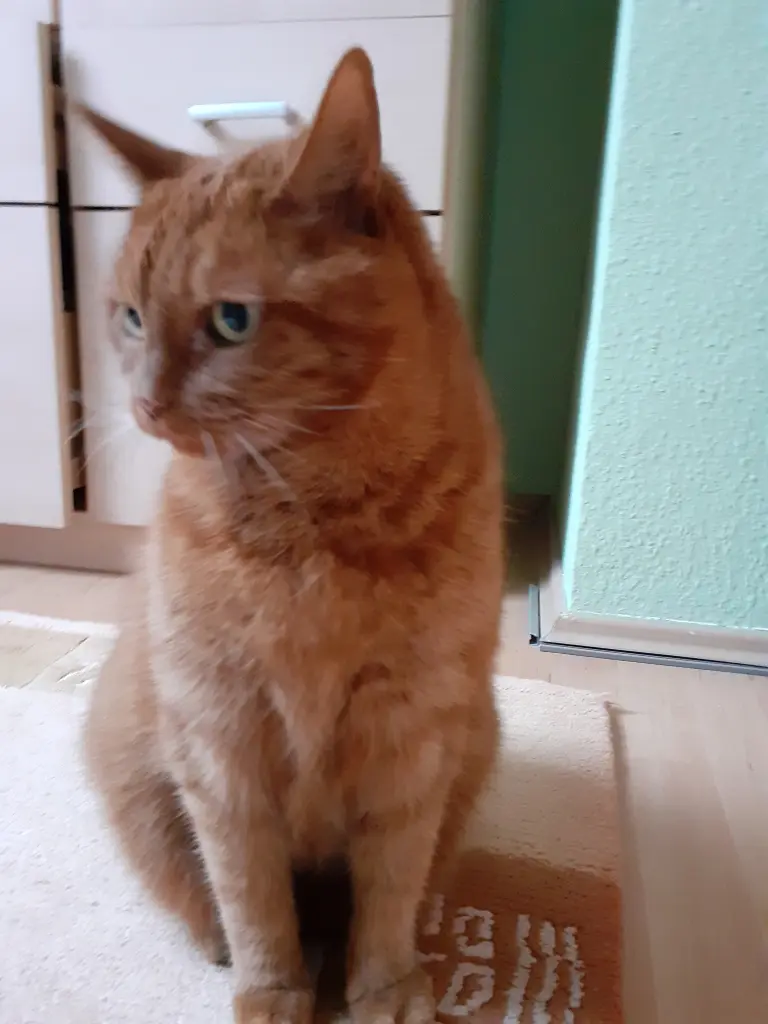 Andachtsbild von Birgit mit Max im Herzen ❤