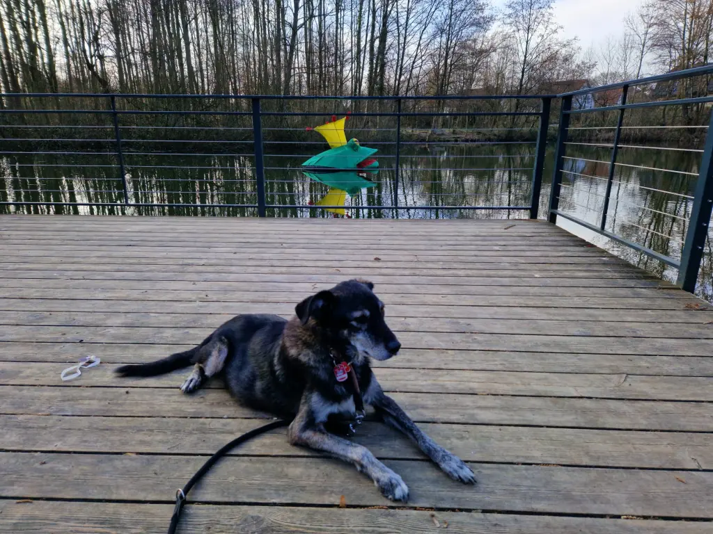 Andachtsbild von Helmut mit Anekan