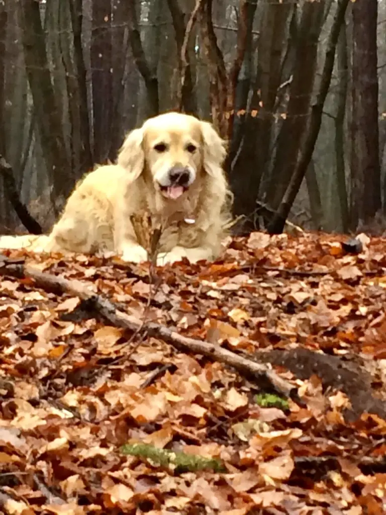 Andachtsbild von Andy und Piet