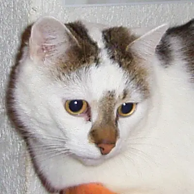 Image from Dusty ( Dicker )