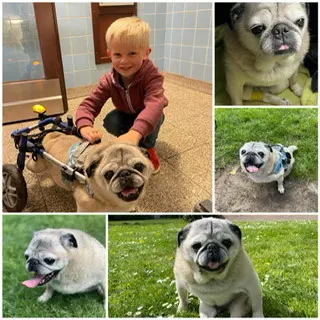 Andachtsbild von Stefanie Hoppe