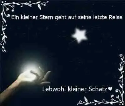 Andachtsbild von Eva mit Paco im  ❤️ 