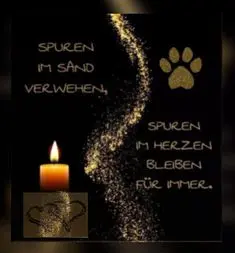 Condolence image of Manuela mit Fiby  im Herzen ♥ 