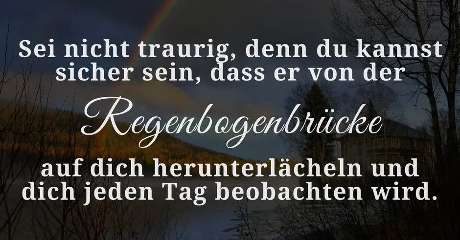 Condolence image of Eva mit Paco ❤️ 