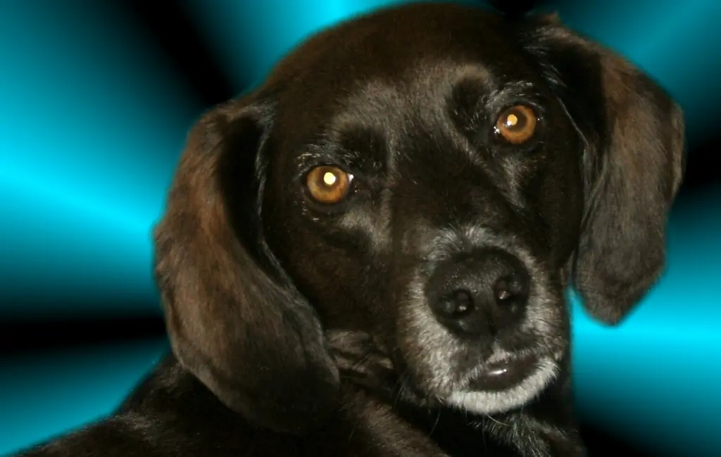 Condolence image of Erika  Cremer 