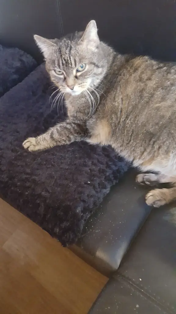 Andachtsbild von Brigitte Will