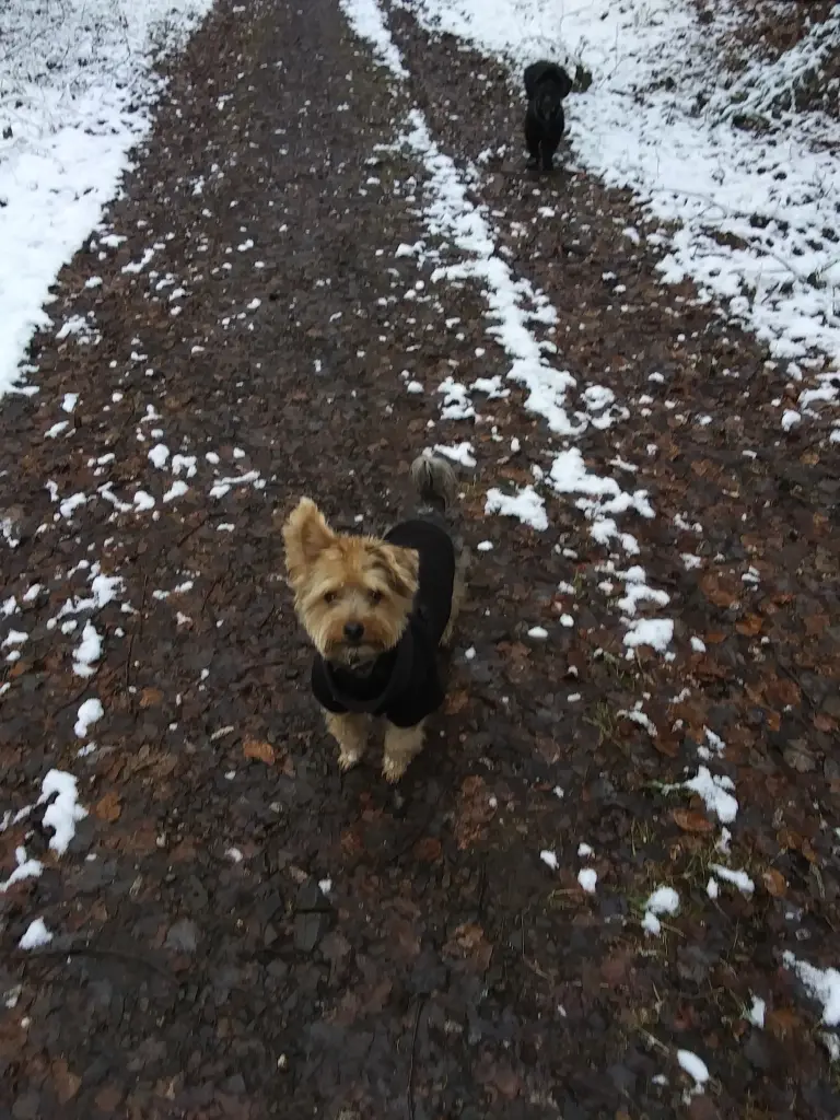 Andachtsbild von Elke mit Socke im Herzen