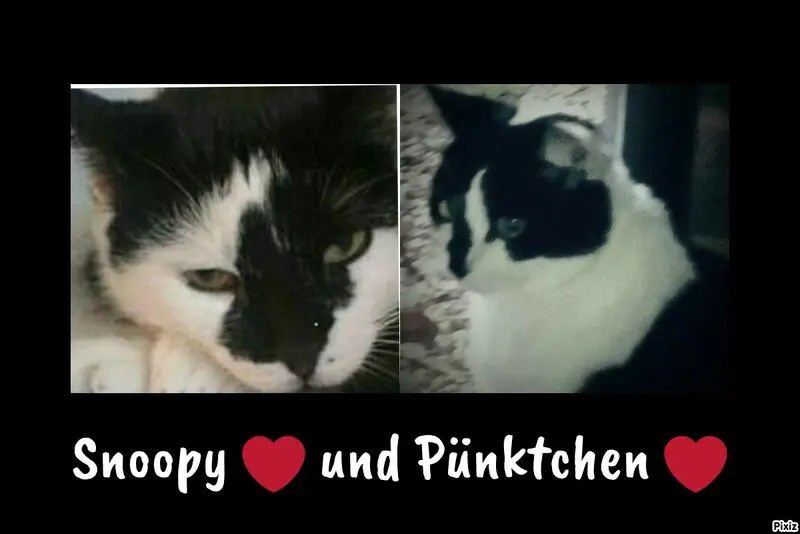 Andachtsbild von Annemarie und Elke mit Snoopy im Herzen gest.04.01.2022