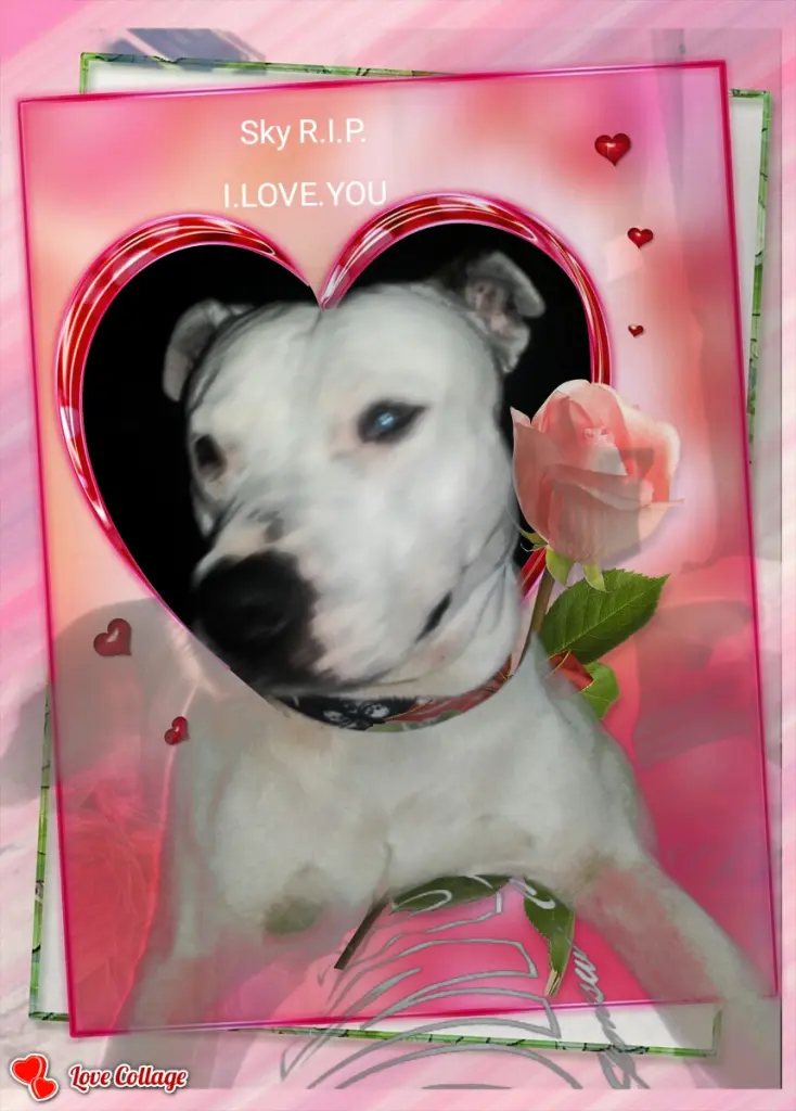 Condolence image of Oliver
