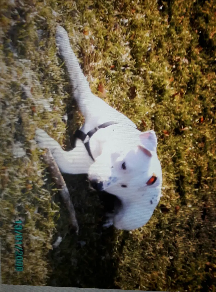 Condolence image of Sabine 