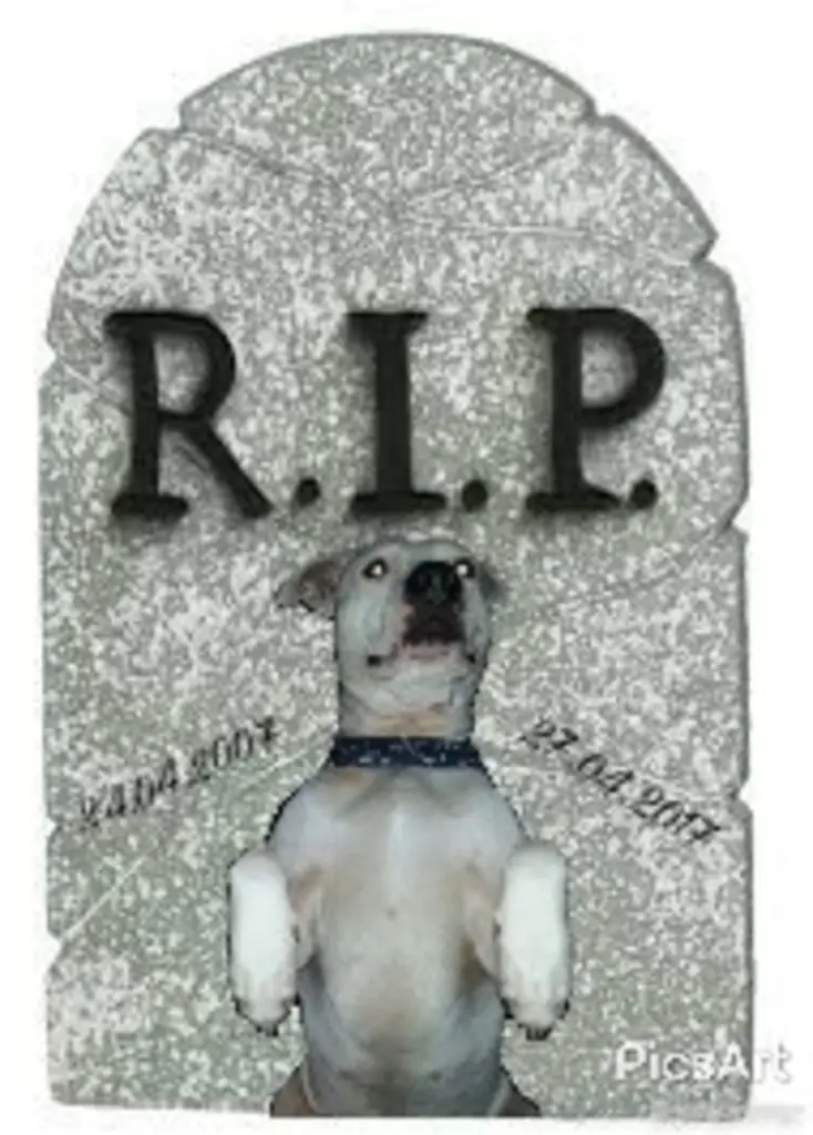 Condolence image of Oliver 