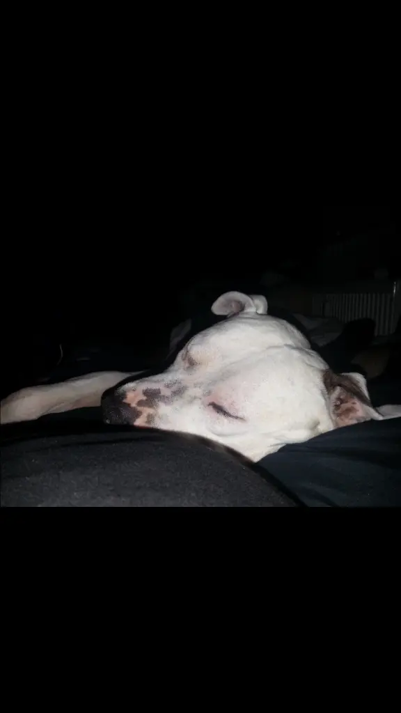 Condolence image of Oliver 