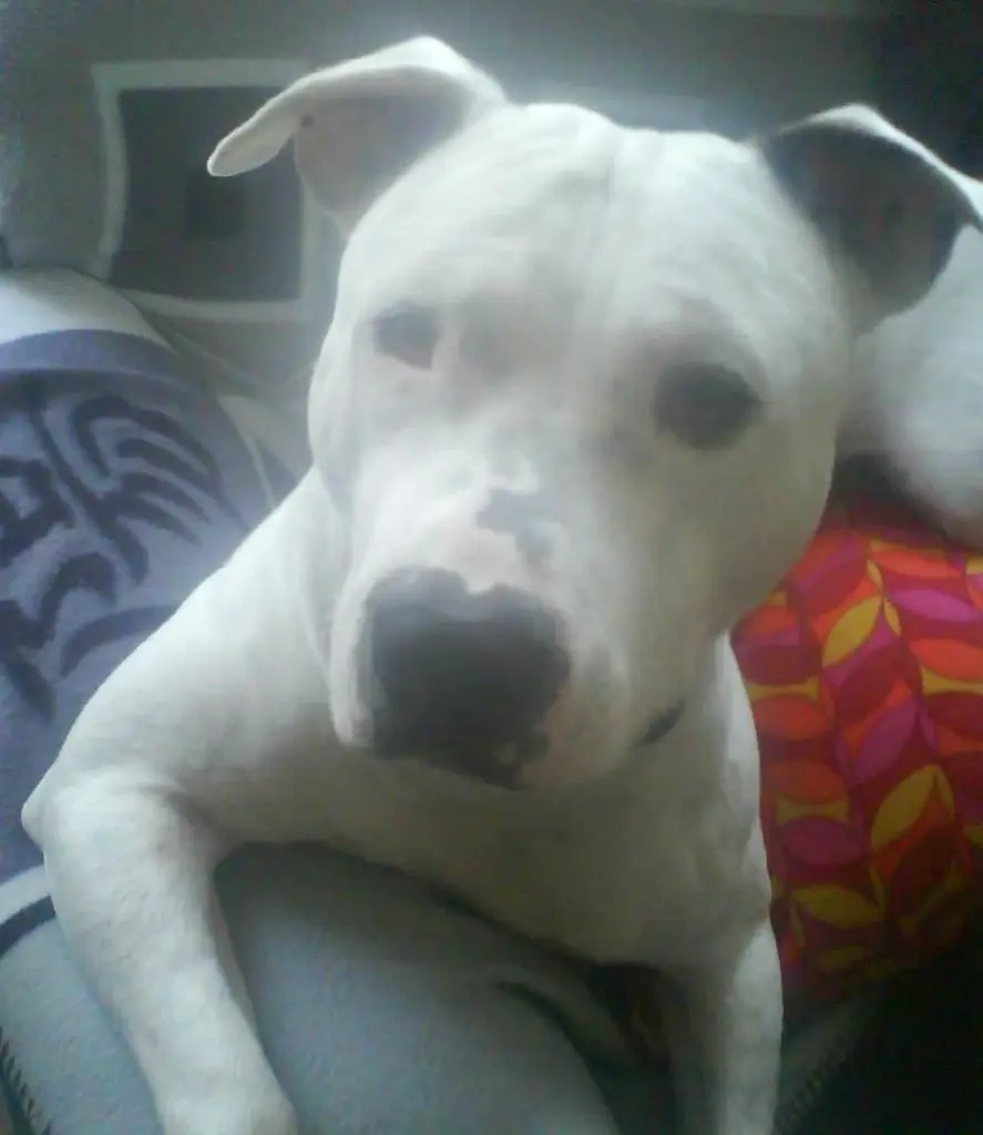 Condolence image of Oliver 