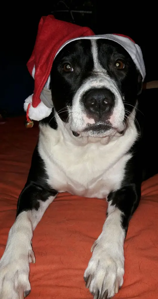 Condolence image of Sabine