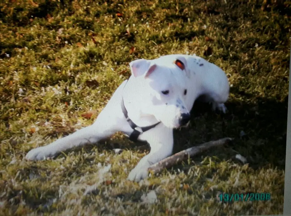 Condolence image of Olli