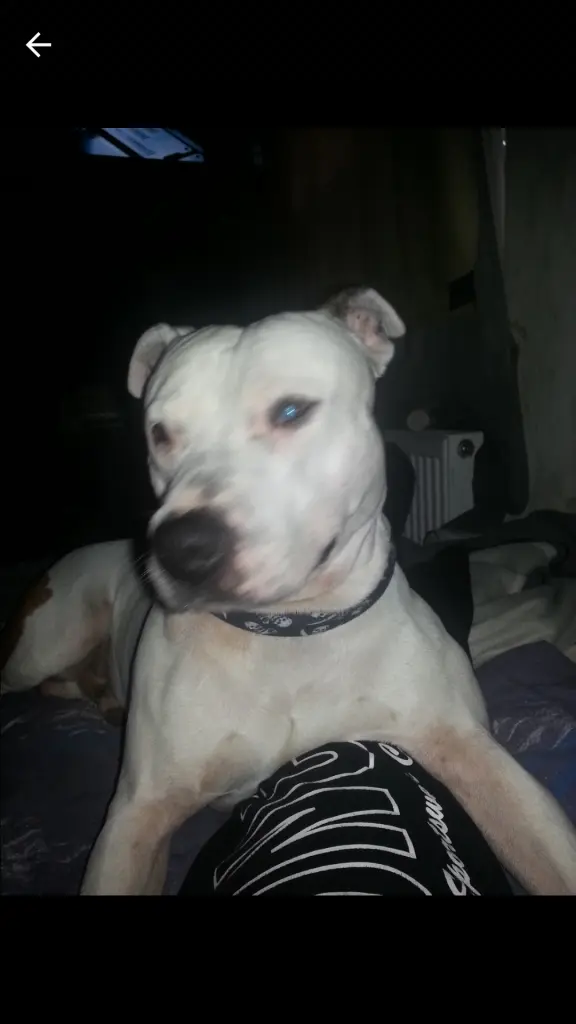 Condolence image of Olli