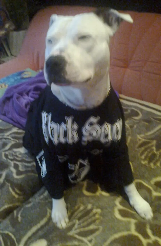 Condolence image of Olli 