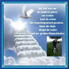 Condolence image of Olli 