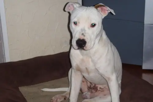 Condolence image of Olli 