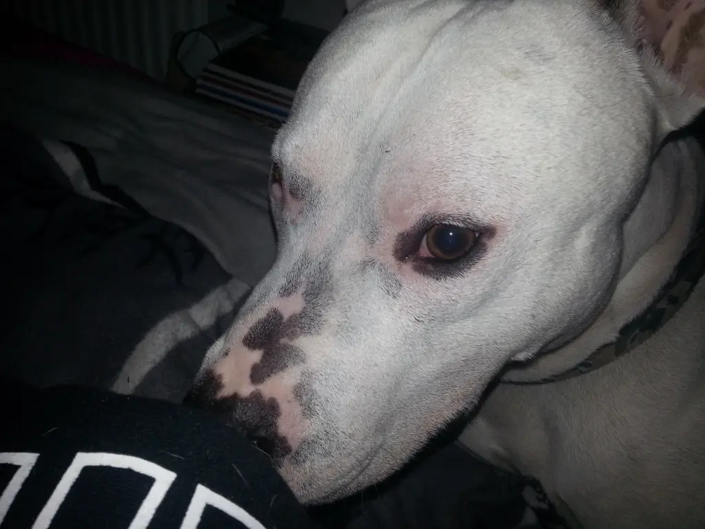 Condolence image of Olli