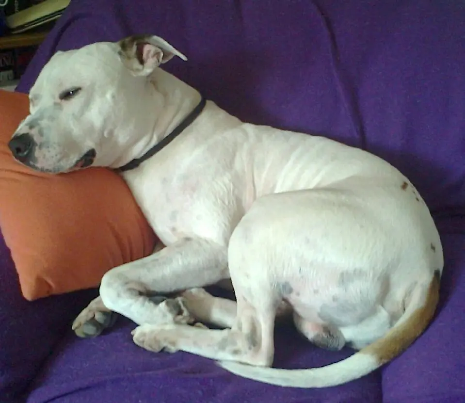 Condolence image of Olli
